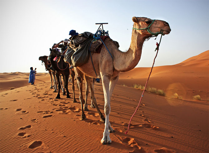 القوافل الصحراء